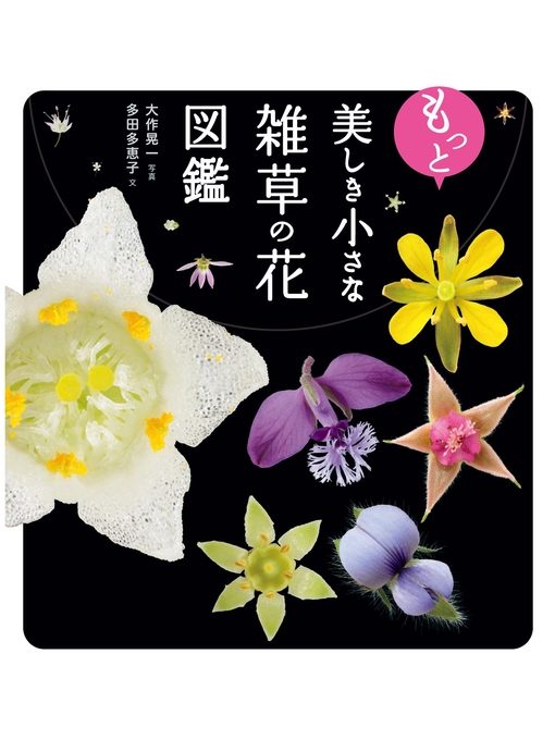 大作晃一作のもっと美しき小さな雑草の花図鑑の作品詳細 - 貸出可能